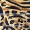 Hot Selling Leopard Sexy Pattern Printed Velvet