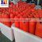 Polyethylene Plastic Water Floating Buoy Float