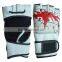 MMA Gloves Grappling Glove Muay Thai Kick