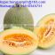 health food honeydew melon powder for juice