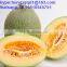 health food honeydew melon powder for juice