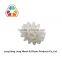 DN48*12*DN20mm PP wholesale Plastic spur gear