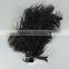 Fashion peacock feather headdress hair accessories for party