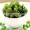 soy protein isolate raw material