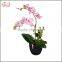 2016 Zhejiang Factory wholesale home decoration hot sale artificial plant orchid artificial flower