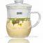 Office Glass Tea Cup Mug with Glass Strainer