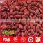 Wholesale red kidney beans with high quality