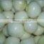 2015 vacuum bag peeled onion for sale from Shandong