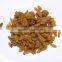BEST QUALITY INDUSTRIAL RAISIN FROM INDIA
