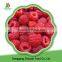 Chinese fruit frozen raspberry for sale with low price