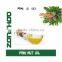 100% pure pine nut oil physical cold pressed nutritional and health for people