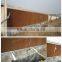 2015 advanced chicken farm equipment for broiler chicken