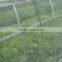 quality assurance greenhouse sun-shading net/ greenhouse assembly hot sale