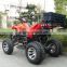 Hot sale Buggy 4x4 for adults