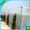 Plastic fly screen mesh in rolls,insect screen mesh,insect mesh netting