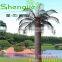 China Supply SJLJ00593 for Outdoor Decorative Led Tree/ Led Palm Tree,lighted Palm Tree