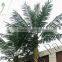 Best quality artificial palm tree leaves