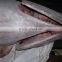 Yellowfin Tuna