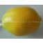 Artificial fruit lemon