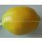 Artificial Fruit Lemon