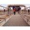 Steel Grating Walkway