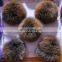 13cm large real fox fur pom pom fox tail fur ball for knit hat/shoes