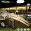 Science Education Life Size Whale Skeleton