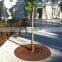Customized drawing design Corten Steel Tree Grating