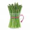 Asparagus officinalis frozen asparagus IQF factory hot selling fitness equipment with fresh quality