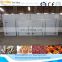 Infrared Fruit Dryer / Mango Garlic Carrot Dryer 008613673685830