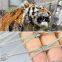 Parrot cage net, parrot fence, parrot isolation net, stainless steel wire net