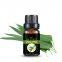 Natural Essential Oil Eucalyptus Oil for Pharma and Cosmetic Raw Material