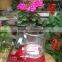 Home Decoration Colored Intermediate Bulk Glass Candle Holder 330ml