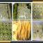 Leader kiwi fruit pitted peeler slicer with CE&ISO