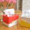 Thailand creative Shape Plastic car tissue Paper box Holder