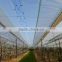 LDPE plastic rain cover for grape vineyard and orchard