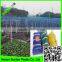 china factory supply Black deer block netting /deer fence netting /Bop net /white bird net