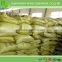 Ceramics chemicals liquid lignosulfonate/mn-1