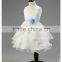 Lastest fashion beautiful tutu dress boutique wedding dress for girls TR-WS03