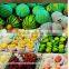Polythene Expanded Foam Papaya Packing Elastic Plastic Mesh Netting