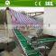 Chicken farming equipment automatic layer poultry cage