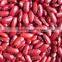 We are supply kidney beans, Dark red kidney beans for sale
