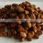 Canned broad beans in brine with good quality for sale