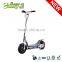 300W ELECTRIC POWERBOARD Scooter With CE Rohs Certificate for Teenagers