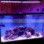 Single light hanging kit, aquarium light hangkit of DSunY led aquarium light