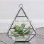 Hanging geometric glass terrarium, glass globe hanging terrarium