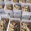 Bulk fresh ginger in carton package