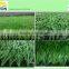 synthetic artificial sporting grass carpet turf lawn for football