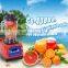 Kitchen appliance electric bar fruit blender kitchen timer