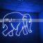 600mw Animation Sd Card Laser Light with Programmable Sd Laser Light